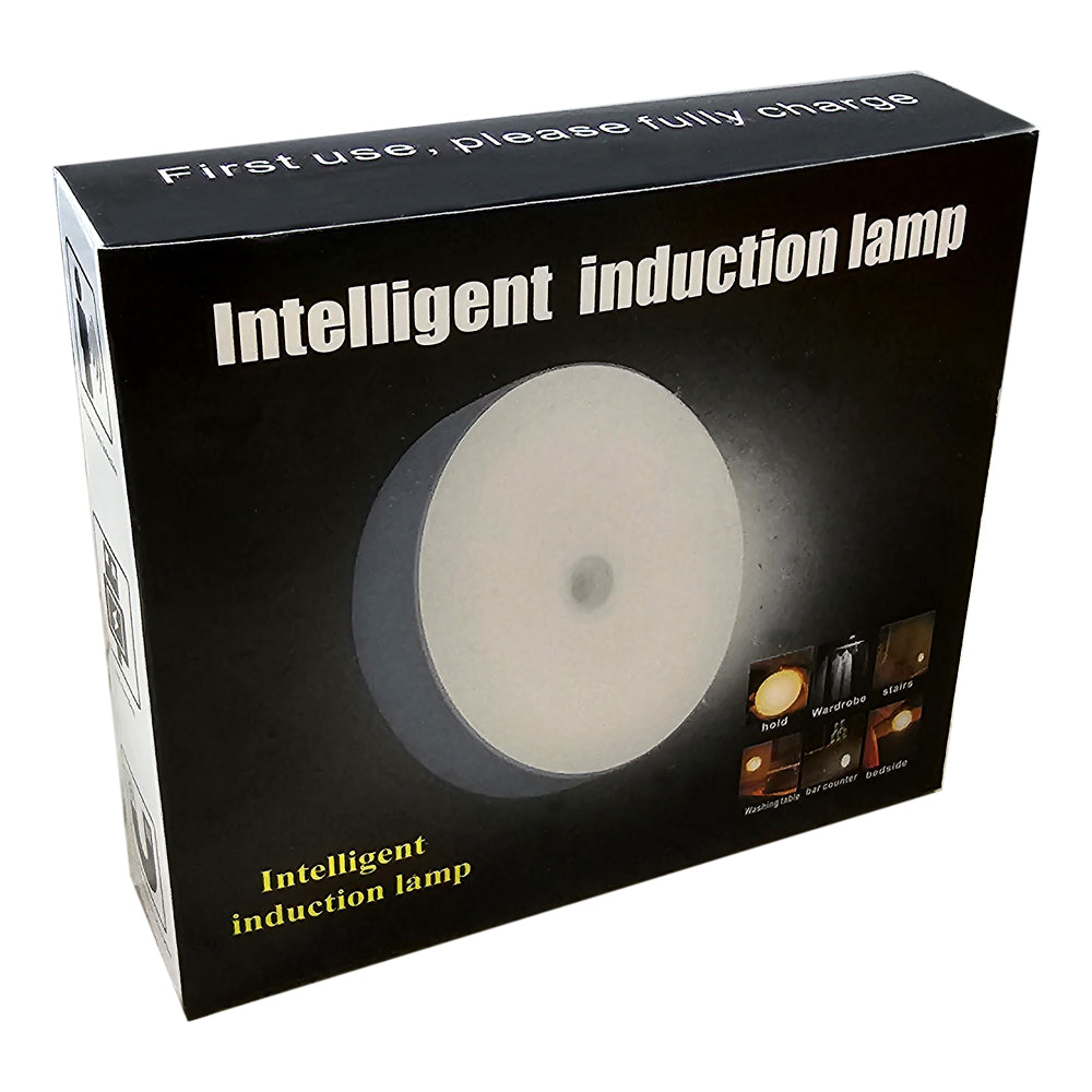 Intelligent Induction Lamp/Light Auto Motion Sensor LT-YD01 Item Code: LT-YD01-WH